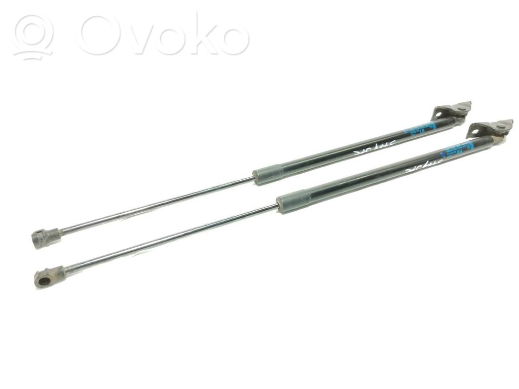 Tailgate/trunk strut/damper   95095594