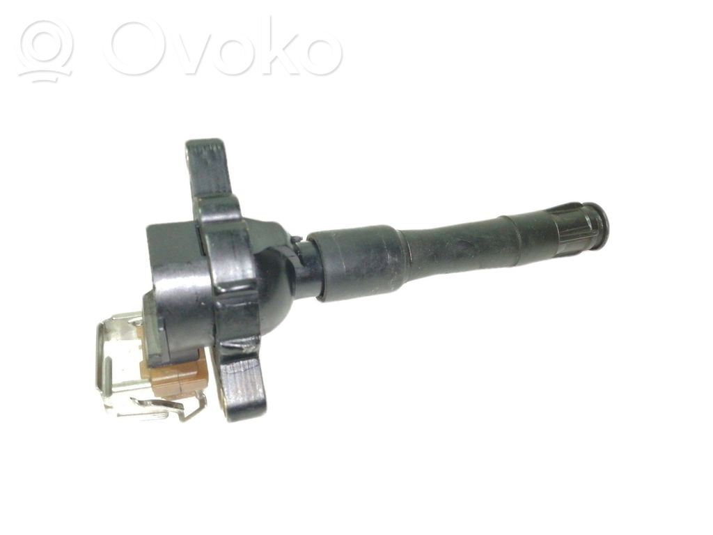 High voltage ignition coil   1748018