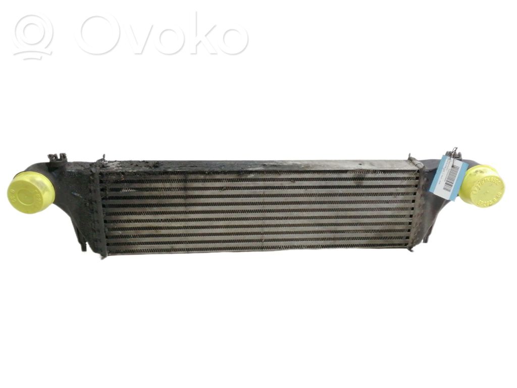Intercooler radiator