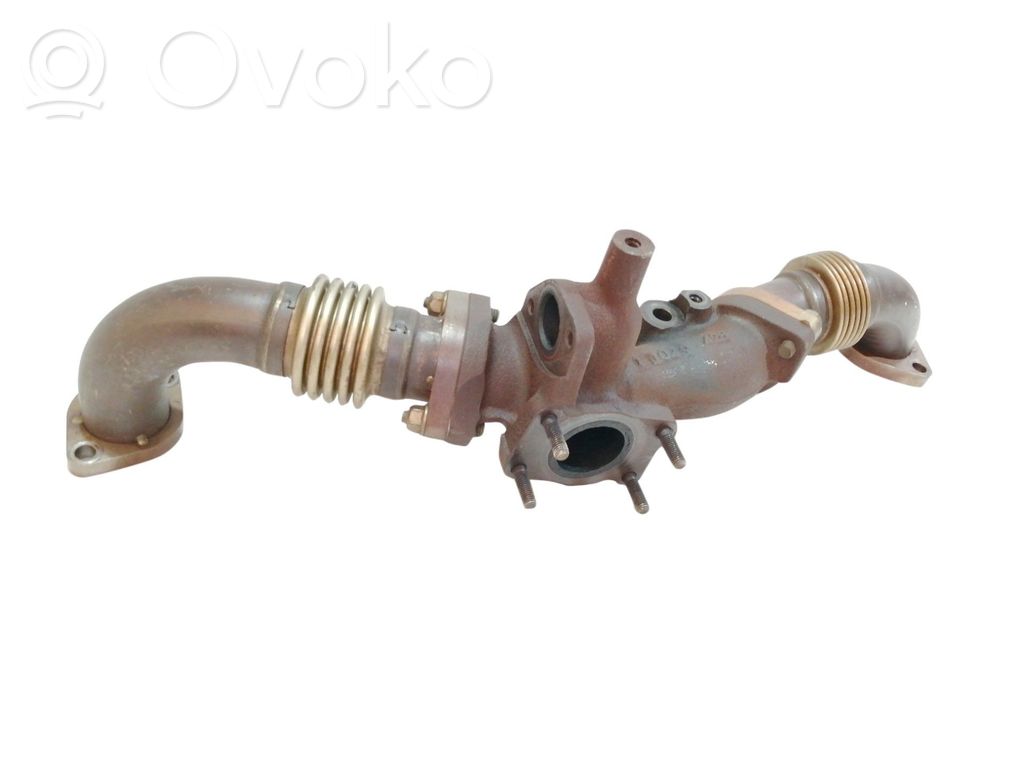 Variklis   11029