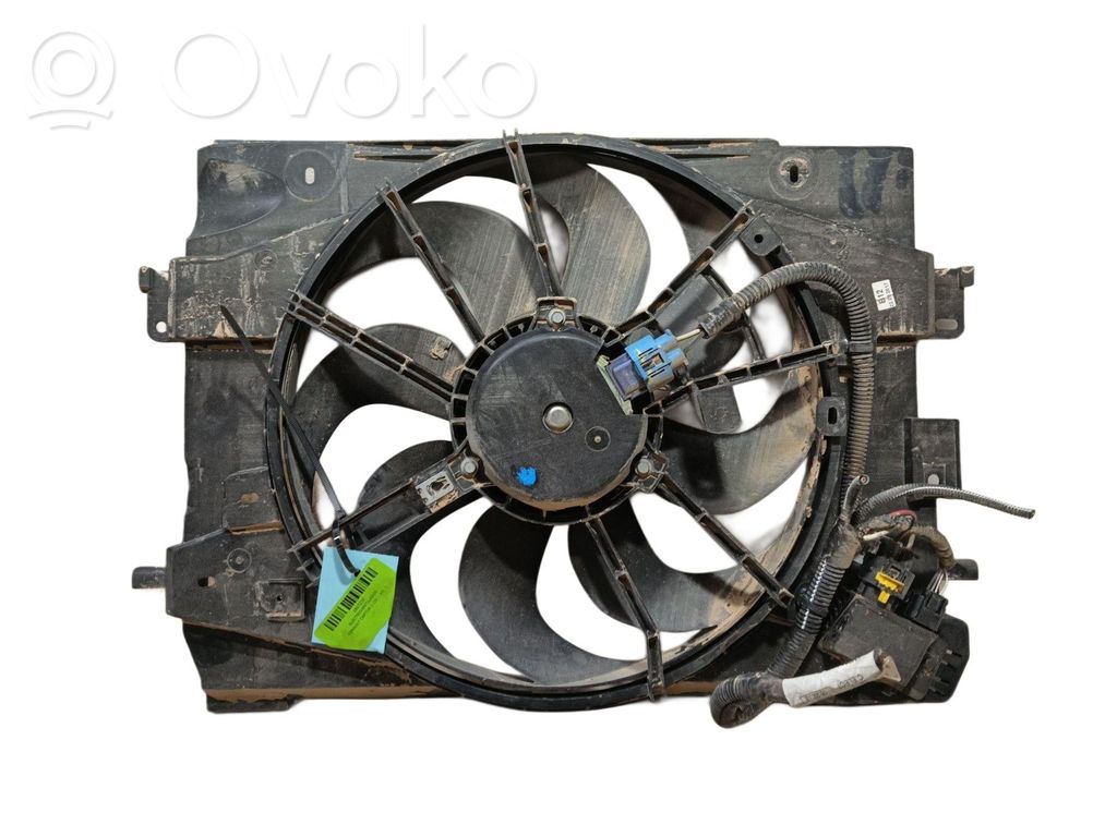 Elektrisks radiatoru ventilators   214818009R