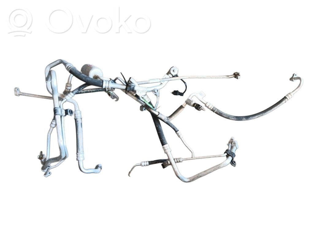 Ilmastointilaitteen putki (A/C)   101954400B,106258300C