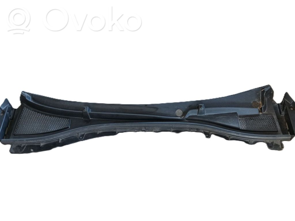Moldura del parabrisas   10734258