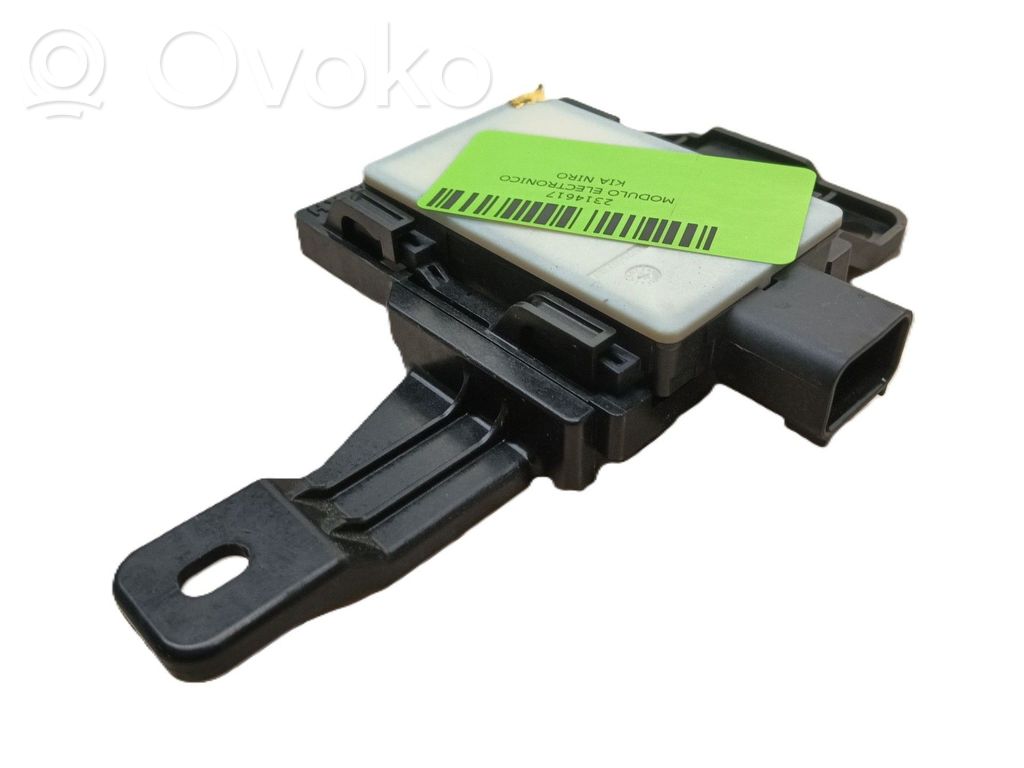 KIA Niro Other control units/modules 