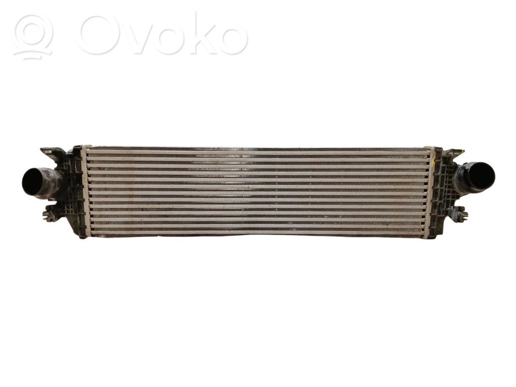 Interkūlerio radiatorius   2405099,AUJ7B