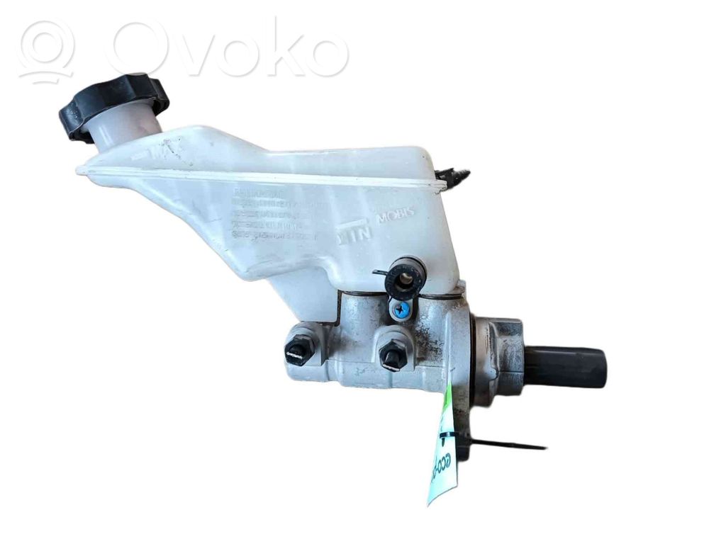 Servofreno   58510D7100
