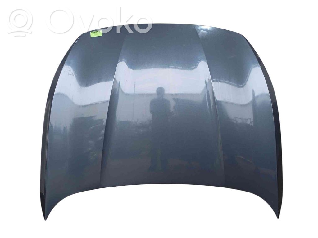 Motorhaube   5FF823031E