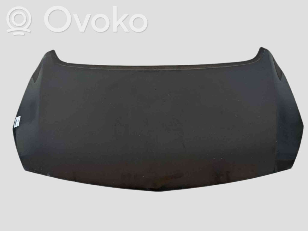 Vano motore/cofano   39014121
