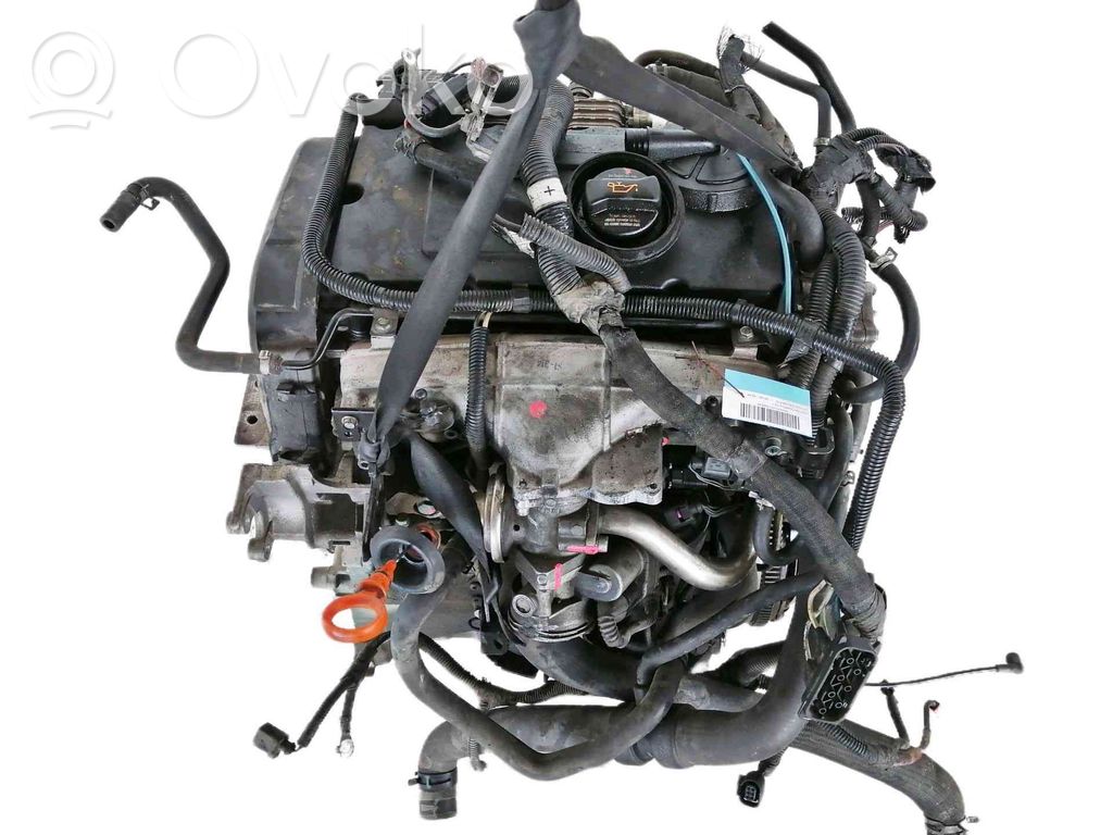 Motore   ECD