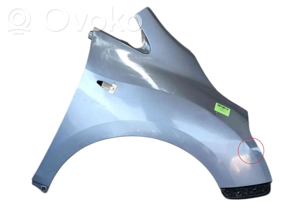 Guardabarro   538110F020
