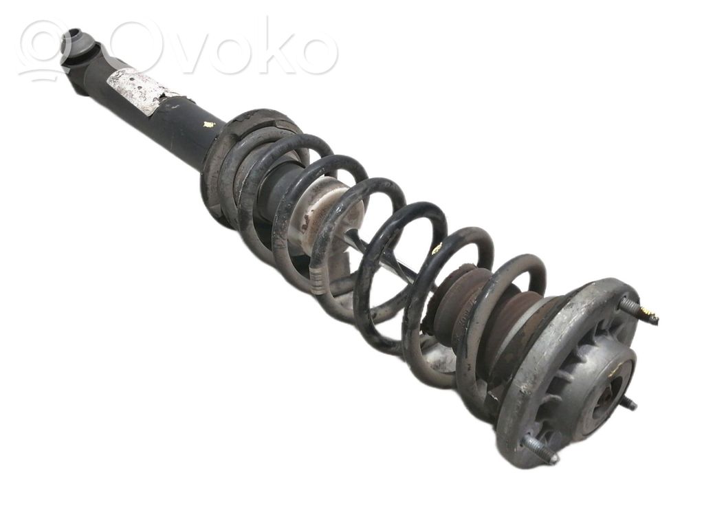 Stoßdämpfer hinten   F10H131B