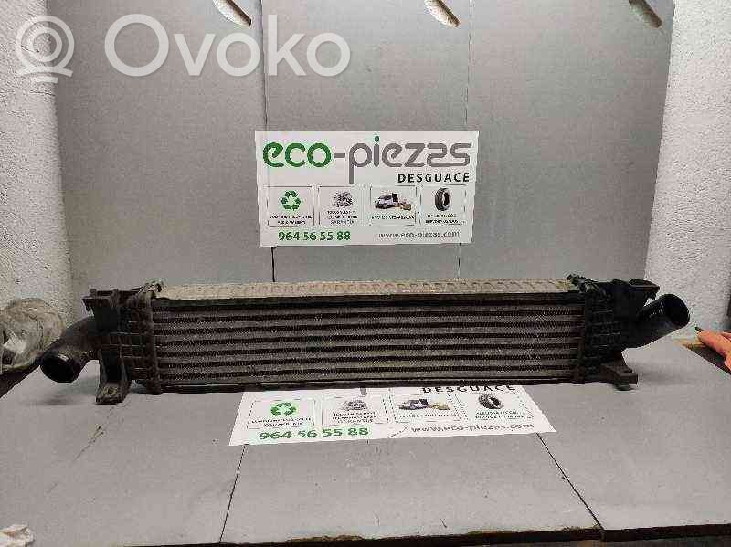 Chłodnica powietrza doładowującego / Intercooler