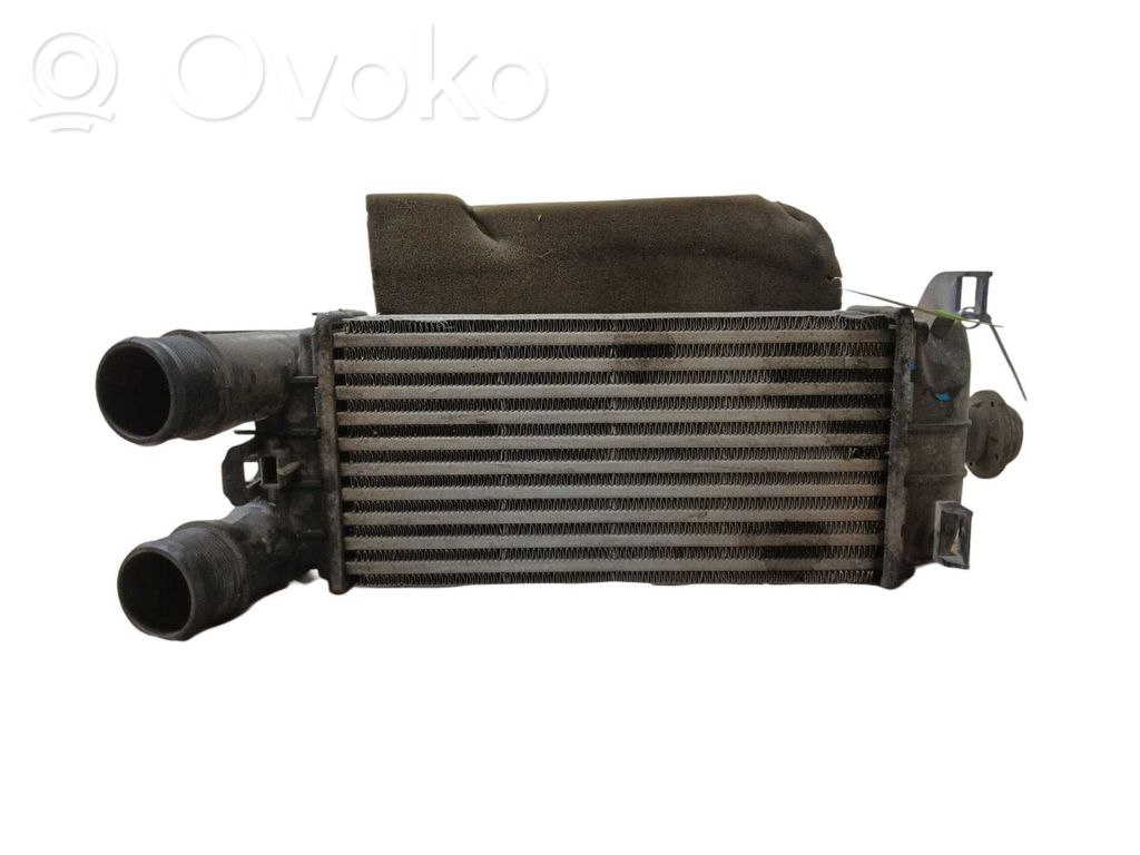 Ford Fiesta Radiatore intercooler 