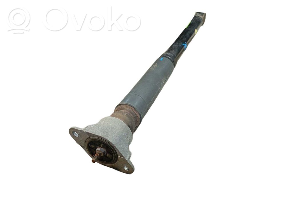 Ford Tourneo Amortizor spate 