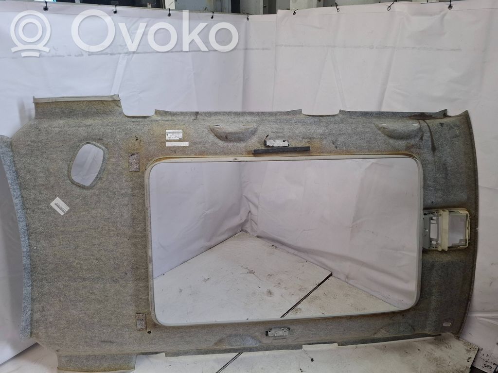 Skoda Yeti (5L) Techo 
