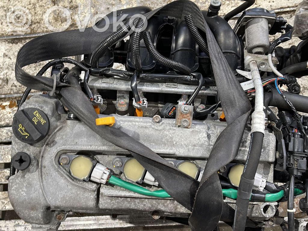 Motor