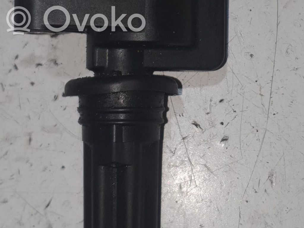 Zündspule Zündmodul   2W4E12A366AD,2W4E12A366AD