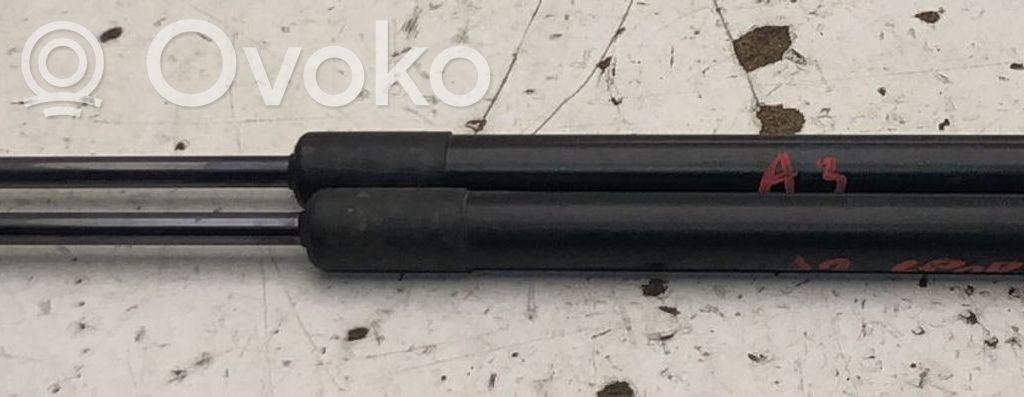 Audi A3 S3 A3 Sportback 8P Ammortizzatore portellone posteriore/bagagliaio 