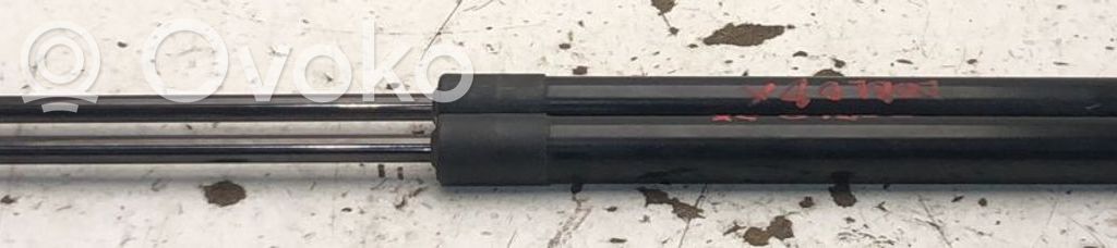 Fiat Doblo Ammortizzatore portellone posteriore/bagagliaio
