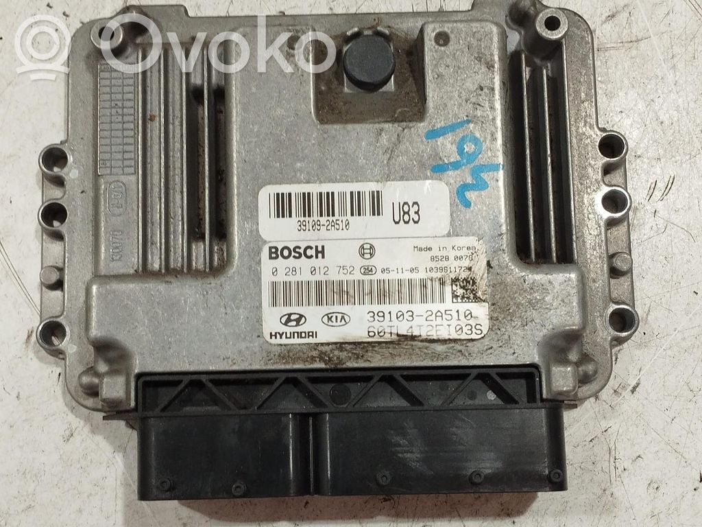 Hyundai Getz Engine control unit/module 