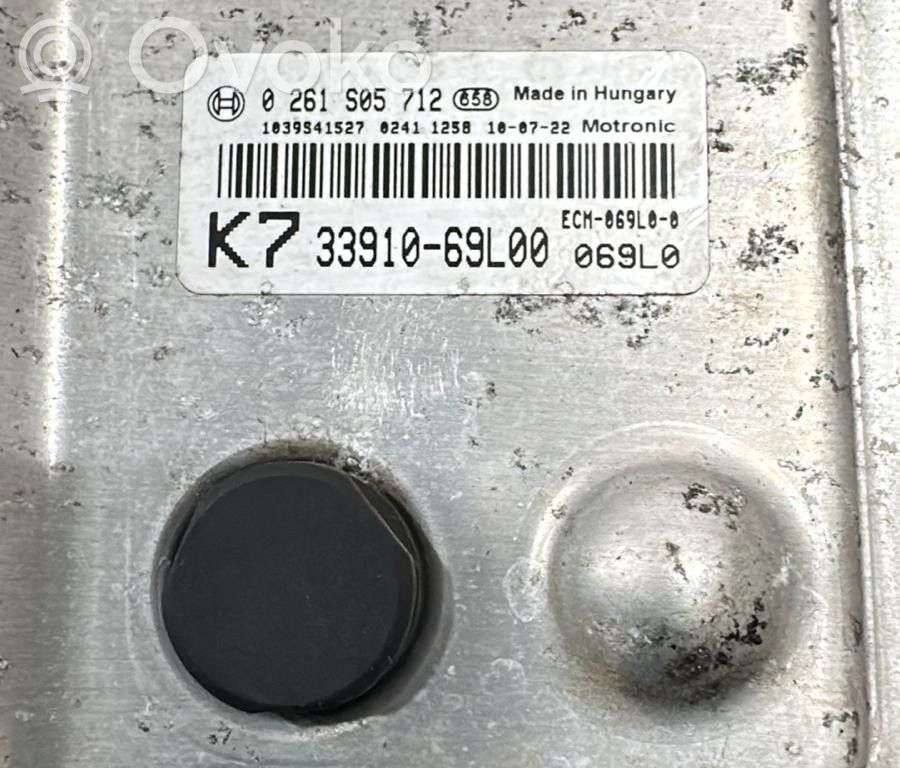 Engine control unit/module   3391069L00,3391069L00