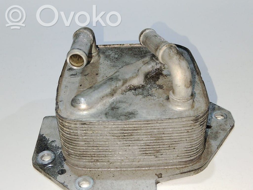 Oil filter mounting bracket