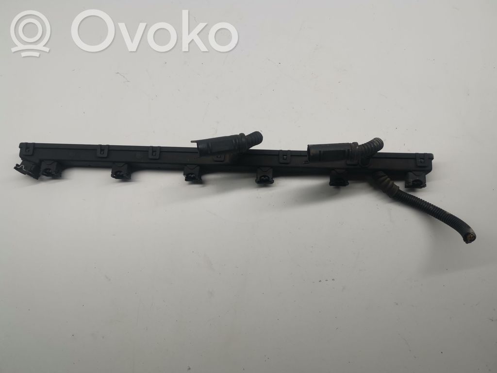 BMW 5 E39 Degvielas sprauslu vadi 