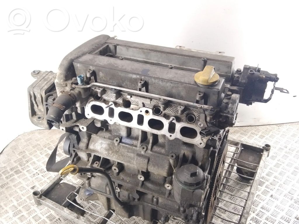 Variklis   24434192