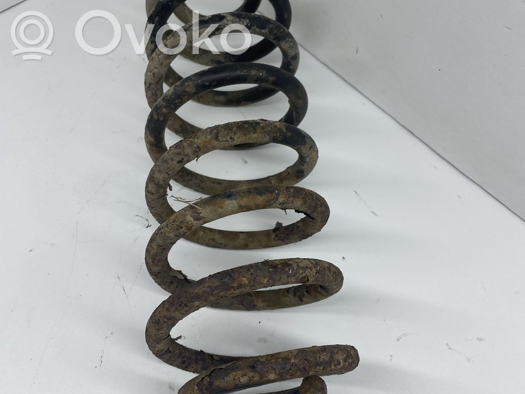 Rear coil spring