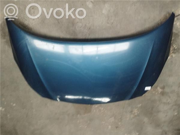 Engine bonnet/hood