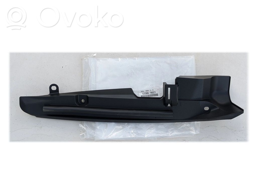 Lexus NX Lokasuojan lista (muoto) 