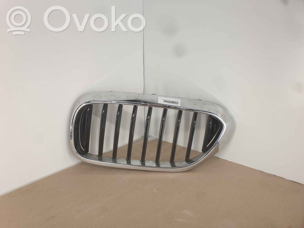 BMW 5 G30 G31 G38 Front grill 