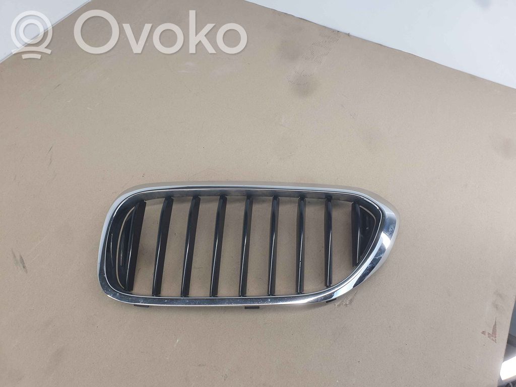 BMW 5 G30 G31 G38 Front grill 