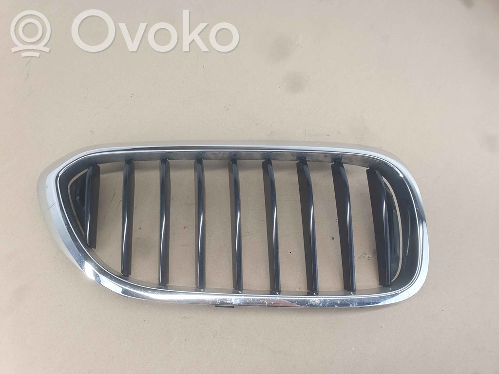 BMW 5 G30 G31 G38 Front grill 