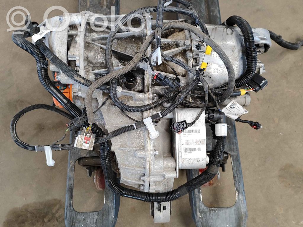 Tesla Model Y Elektromobilio variklis 