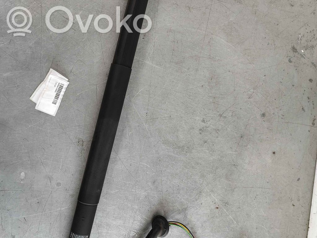 Tesla Model S Tailgate strut 