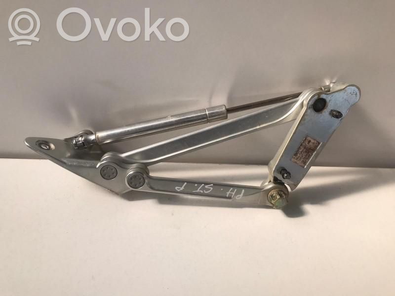 Volkswagen Phaeton Engine bonnet/hood hinges 