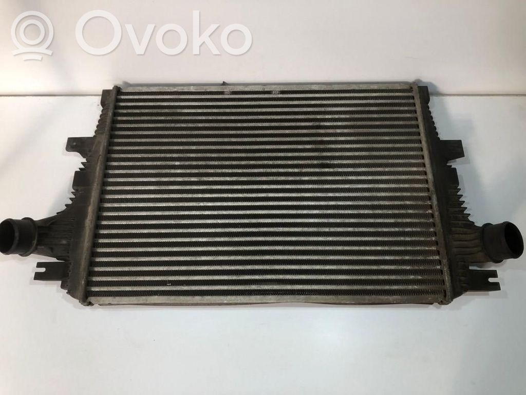 Interkūlerio radiatorius   50507299,VP4FLH9L440AF
