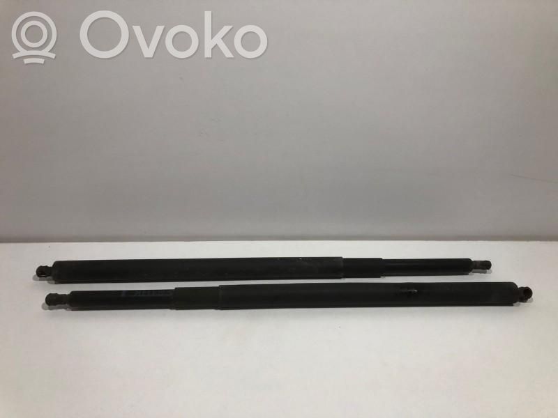 Tailgate/trunk strut/damper   7178273