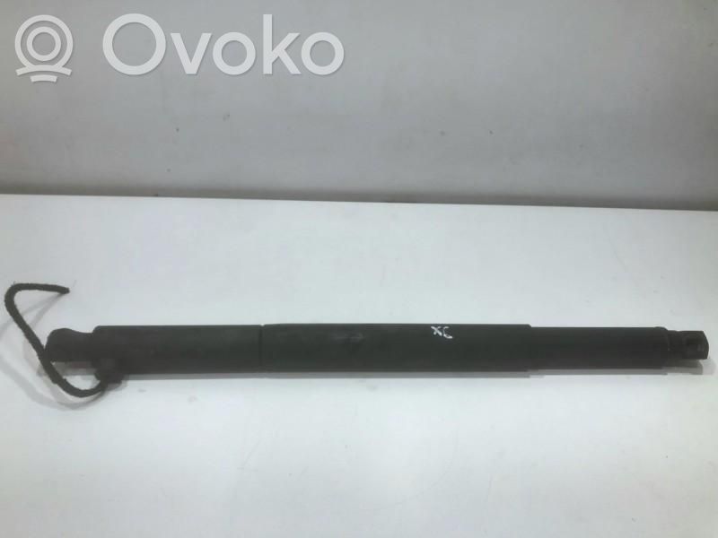 BMW X6 E71 Rear shock absorber/damper 