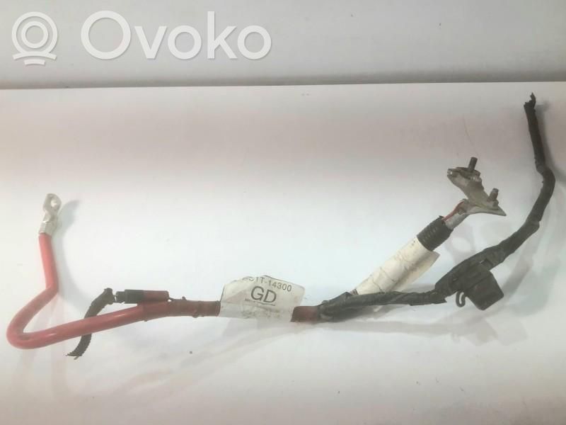 Positive wiring loom   CC1T14300GD