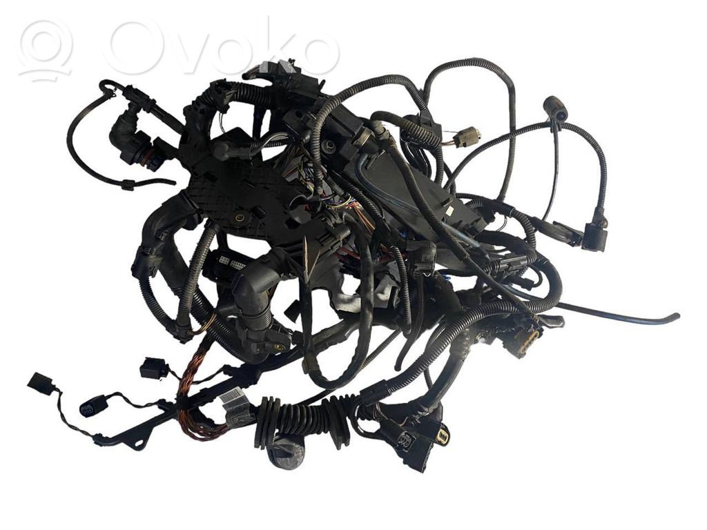 Engine installation wiring loom   7790282,7792268