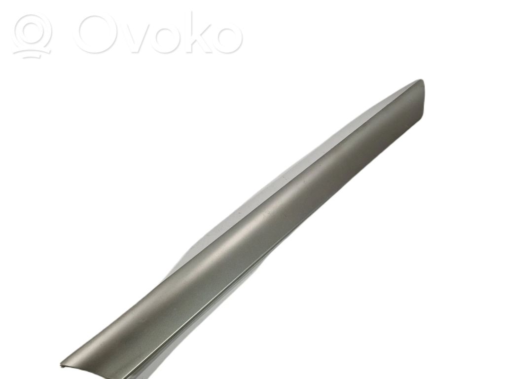 BMW 3 E46 Aizmugurē durvju dekoratīvā apdare (moldings) 
