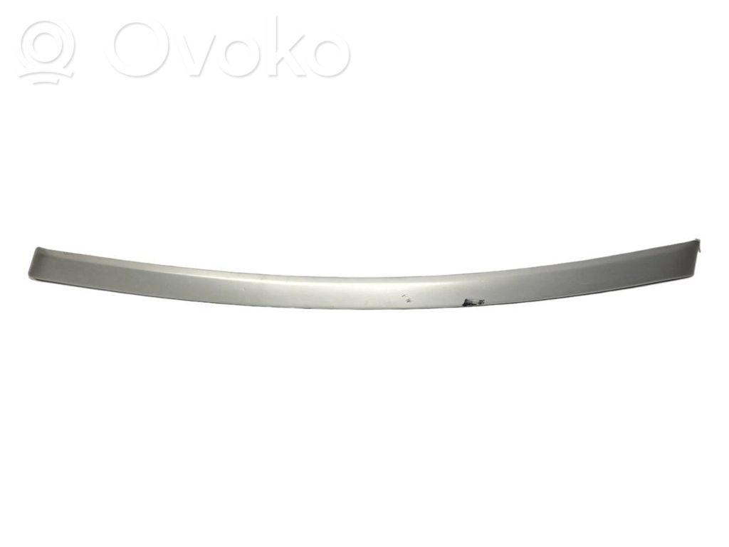 Front door trim bar   6982472,51416982472