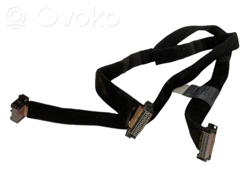 Other wiring loom   6970086,6970080