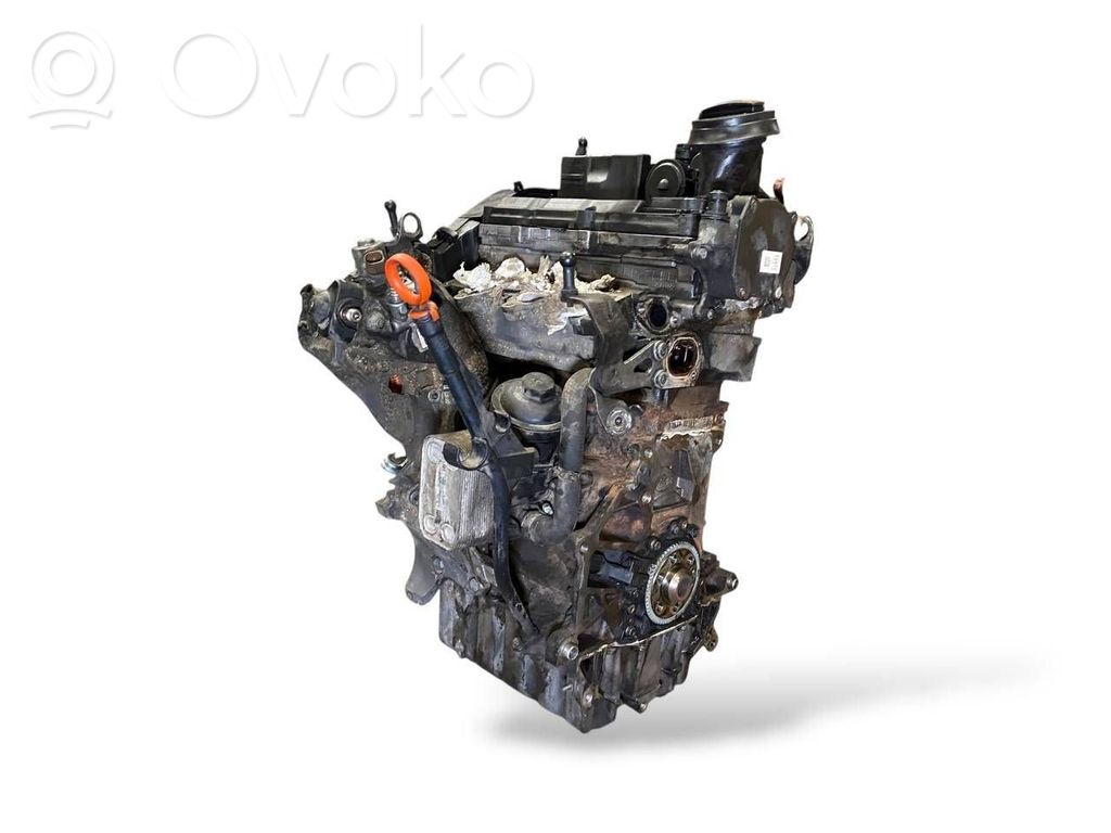 Volkswagen Polo V 6R Engine 