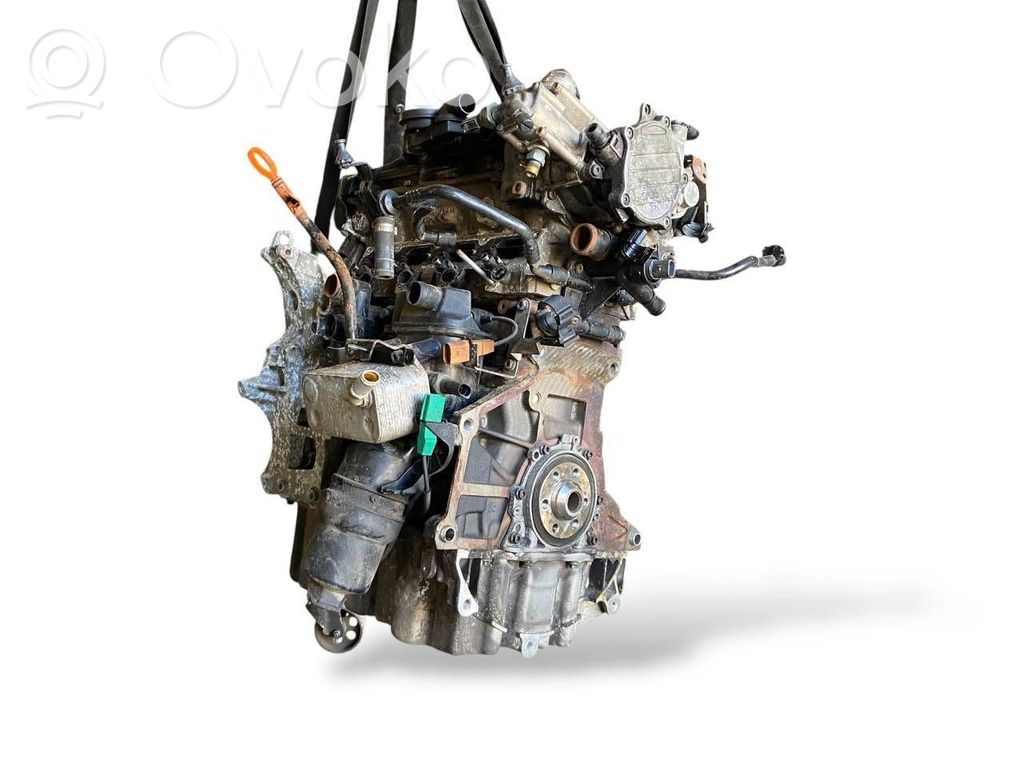 Skoda Octavia Mk2 (1Z) Motor 