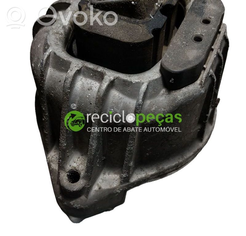 Dzinēja spilvens   139811