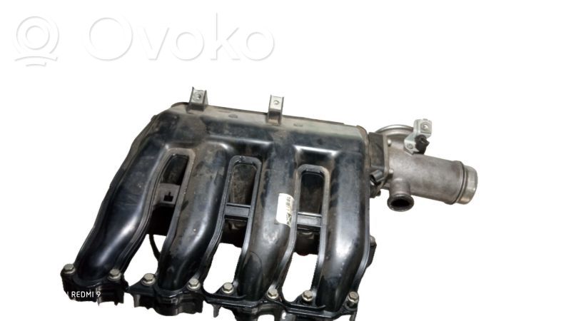 Intake manifold   7795393