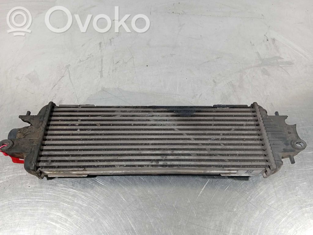 Intercooler radiator   8200219497A